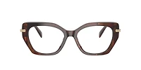 Michael Kors Woman Tortoise