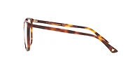 Gucci Woman Tortoise