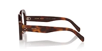 Celine Man Brown