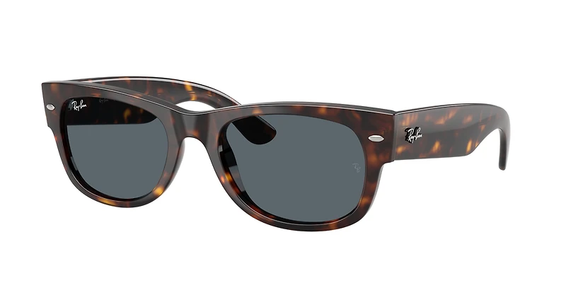 RB0832S Mega Wayfarer II