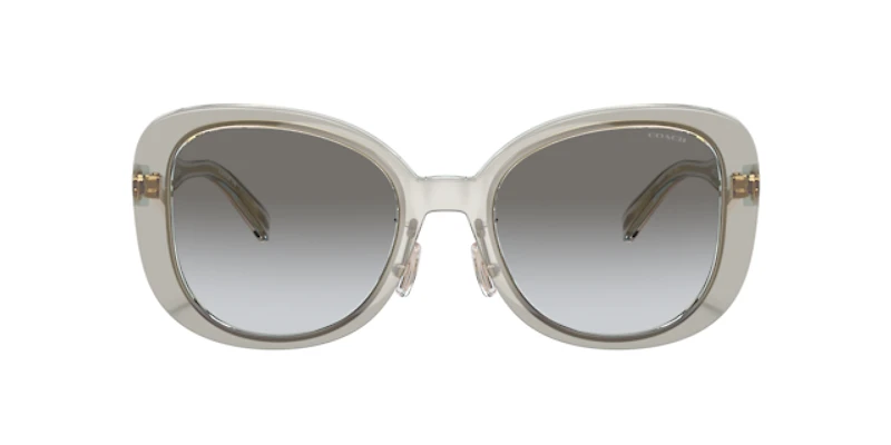 Coach Woman Transparent Grey