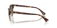 Polo Ralph Lauren Man Shiny Brown Tortoise