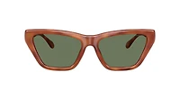 Coach Woman Caramel Tortoise