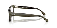 Ray-Ban Unisex Havana