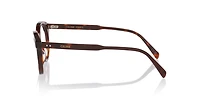 Celine Unisex Tortoise