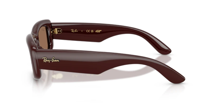 Ray-Ban Unisex Transparent Dark Brown