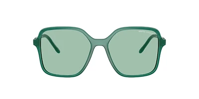 AX4163S