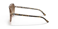Ray-Ban Unisex Havana On Transparent Brown
