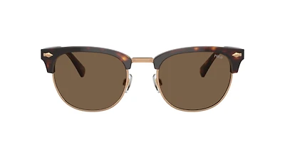 Polo Ralph Lauren Man Shiny Brown Tortoise