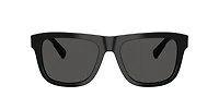 DG4545