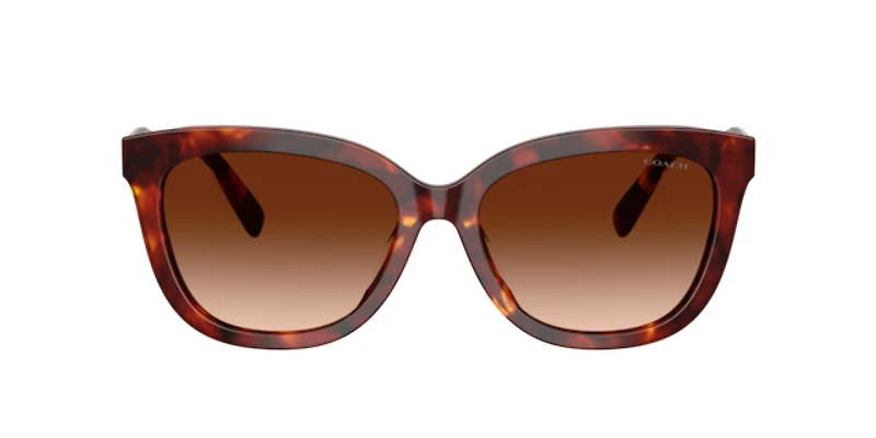 Coach Woman Walnut Tortoise