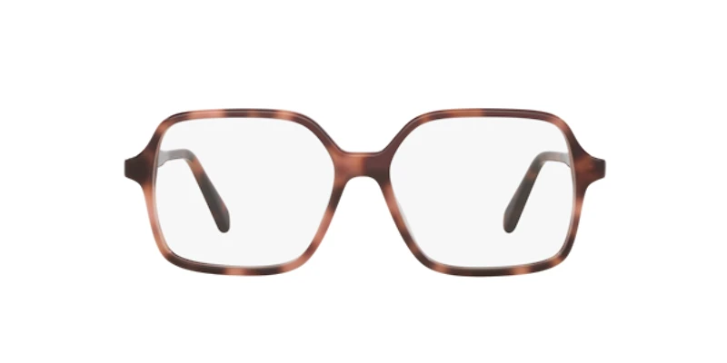 Celine Woman Tortoise