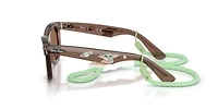 Ray-Ban Unisex Transparent Brown