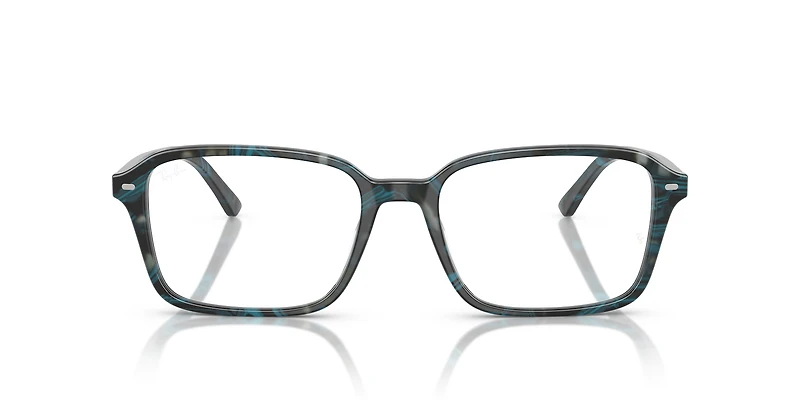 RB5431 Raimond Optics