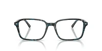 RB5431 Raimond Optics