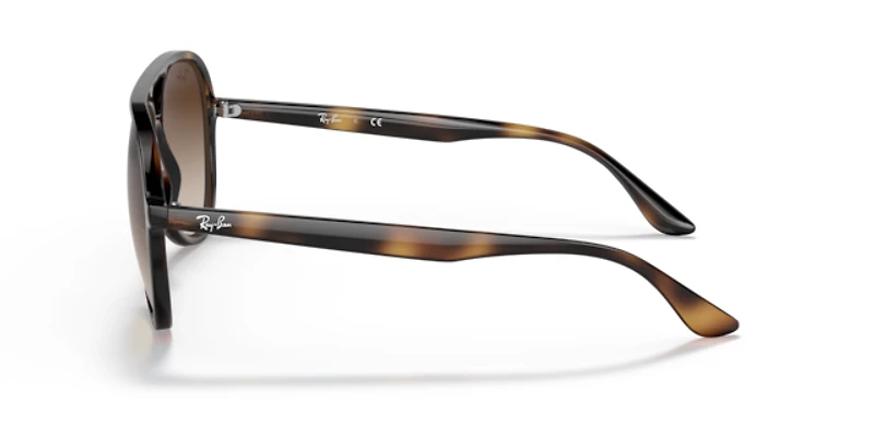 Ray-Ban Unisex Havana
