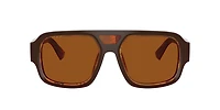 Dolce&Gabbana Man Top Brown, Pearl Gold & Brown
