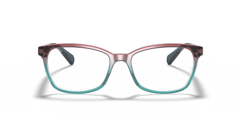 RB5362 Optics