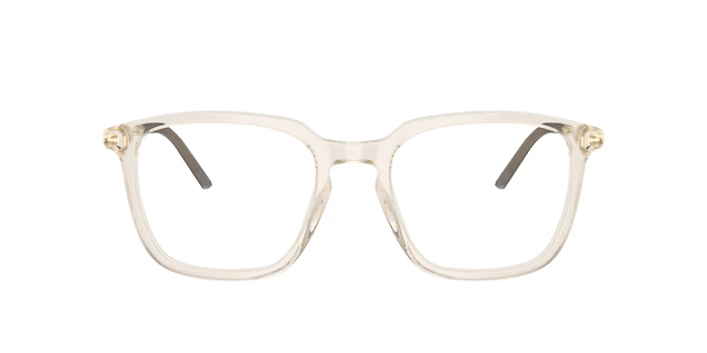 Moncler Unisex Shiny