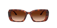 Coach Woman Caramel Tortoise
