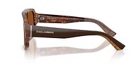 Dolce&Gabbana Man Top Brown, Pearl Gold & Brown