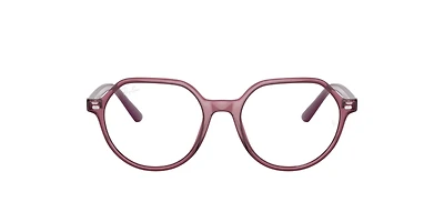 Ray-Ban_Lenses Unisex Transparent Pink