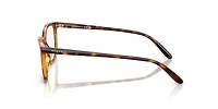 Vogue Woman Dark Havana
