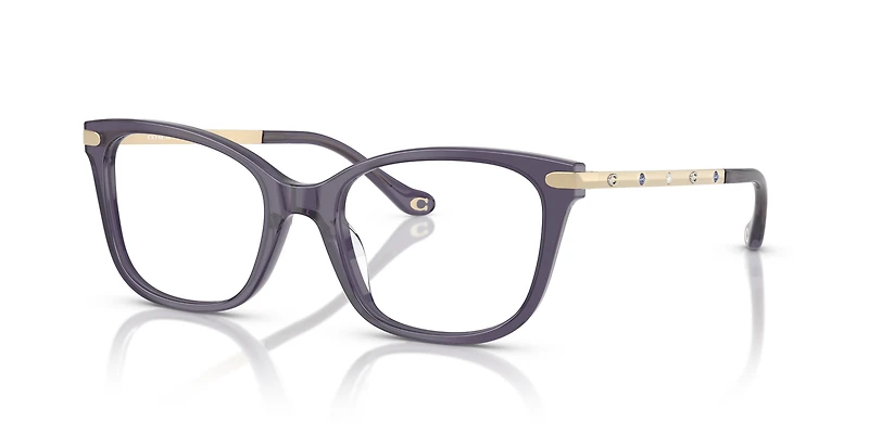 HC6261BU