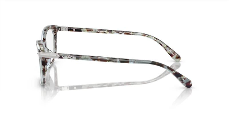 Coach Woman Seaglass Tortoise