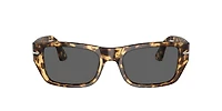 Persol Unisex Tortoise