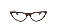 Bottega Veneta Woman Tortoise