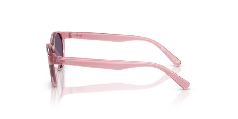 Ray-Ban Unisex Transparent Pink