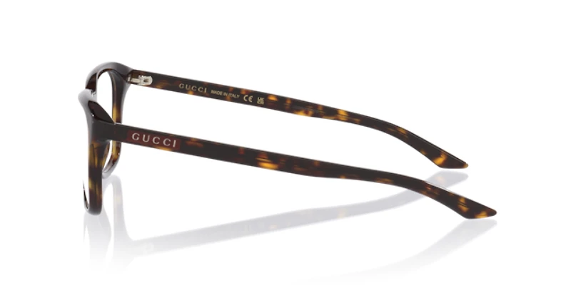 Gucci Man Tortoise