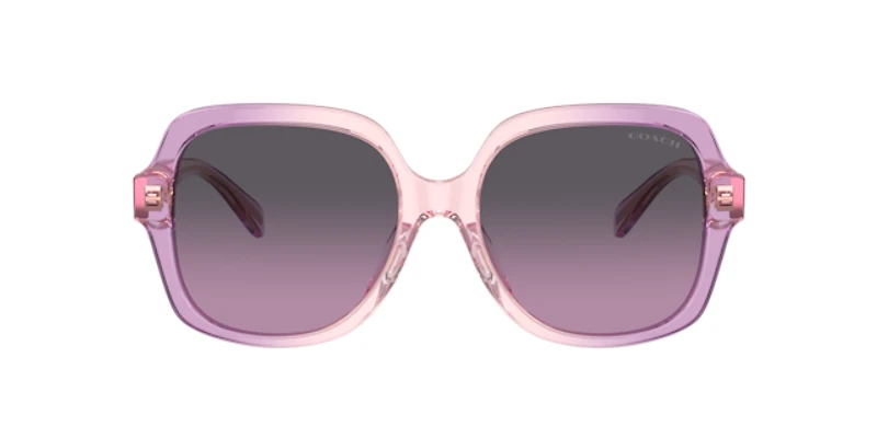 Coach Woman Amethyst, Pink Gradient