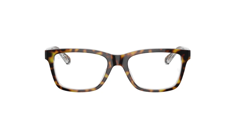 Ray-Ban_Lenses Unisex Dark Havana