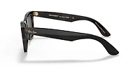 Ray-Ban Unisex Dark Brown