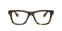 OV5393U Oliver