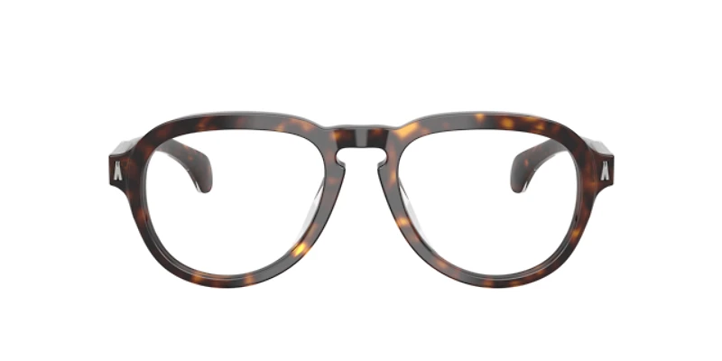 Moncler Unisex Shiny Dark Havana