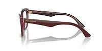 Dolce&Gabbana Woman Bordeaux, Transparent Bordeaux