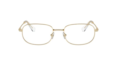 SK1005