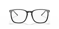 RB5387 Optics