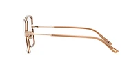 Tom Ford Woman Brown Light