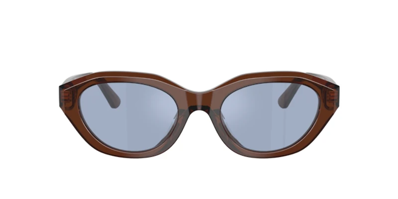Polo Ralph Lauren Woman Shiny Transparent Brown