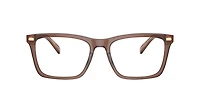 Coach Man Transparent Pecan