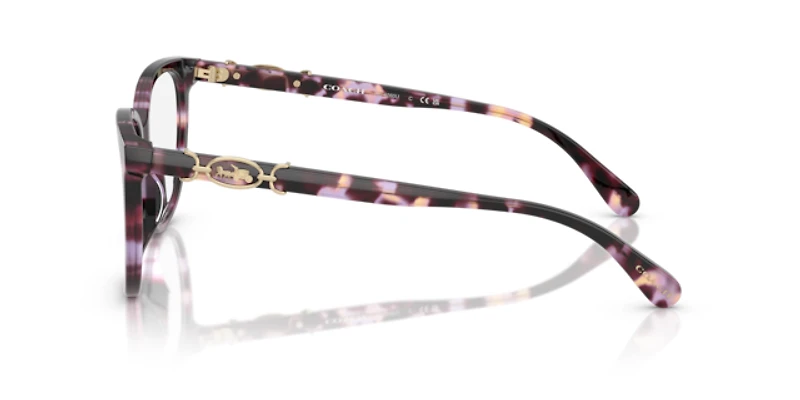 Coach Woman Purple Tortoise