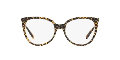 Coach Woman Spotty Tortoise Signature C
