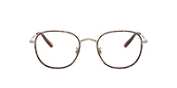 Oliver Peoples Unisex Gold, Dark Mahogany