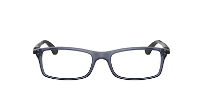 RB7017 Optics