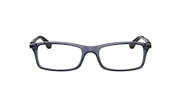 RB7017 Optics