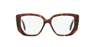 Celine Woman Tortoise